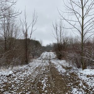 Meet your Posher, Shaun